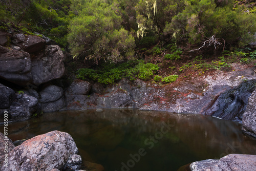 Peaceful natural scene with waterfall flowing over rocks in lush forest in Madeira, Portugal.