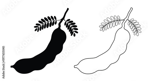 Two tamarind pod illustrations one solid and one outline a striking silhouette