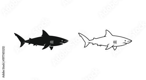 Shark Vector Designs: Black & White Illustrations Vector