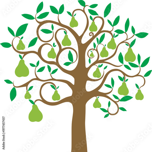 Pear tree isolated on White background. Vector illustration