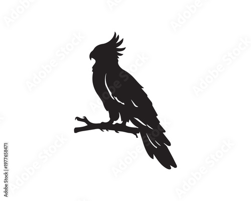 Silhueta animais - ave rapina