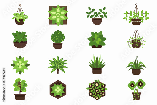 Collection of colorful stylized potted plants and hanging planters