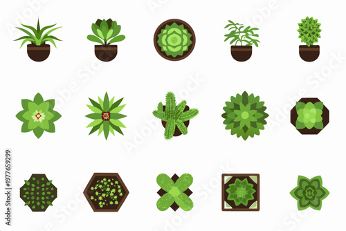 Collection of various potted succulent plants in a flat design style