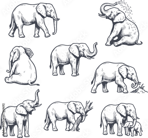 hand drawn collection of elephants in different poses and actions created with black fill and no white fills included