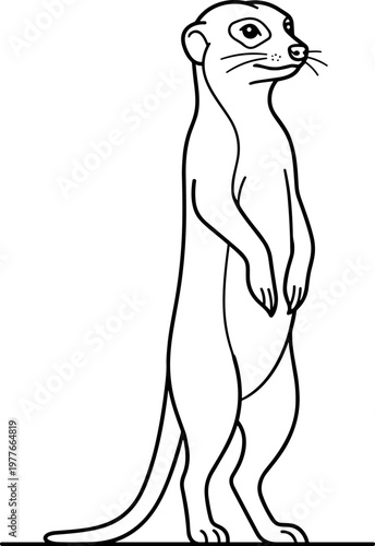 Illustration of a standing meerkat in a minimalist style, black and white design