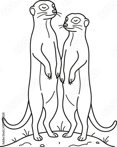 Two cute meerkats standing together in a playful pose on a minimal background
