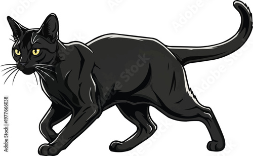 Bombay Cat crouched walking attentive focused movement 