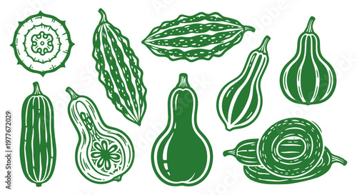 Assorted Gourds and Cucumbers