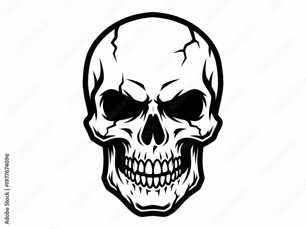 Fototapeta premium Detailed monochromatic vector illustration of a human skull featuring bold outlines and sharp cracked textures suitable for aggressive branding or edgy creative graphic design project concepts