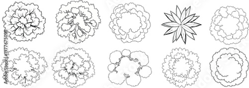 Collection of diverse hand drawn tree top view vector icons for professional landscape architectural design