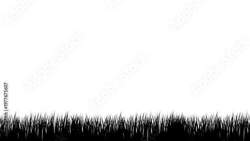 Minimalist silhouette of wild grass blades border isolated on transparent background