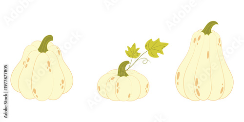 Minimal pumpkin set with white and pale gourds isolated on background. Suitable for autumn designs, harvest themes, and seasonal decor.