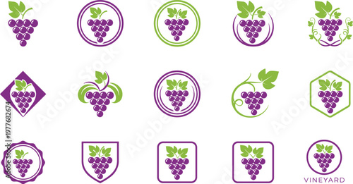 Colorful vector illustration of grape cluster icons symbolizing vineyard, wine, and harvest