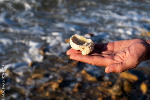 A man holds a shell or fossil against a backdrop of a seashore, resembling a bowl or a 