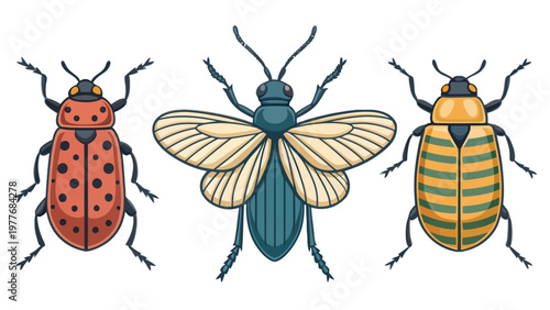 A colorful illustration of three different types of insects on a white background