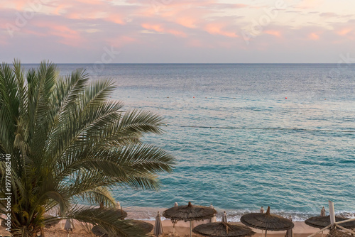 Fényképezés Beautiful sunset over the Red Sea in Sharm El Sheikh Egypt with palm tree and st