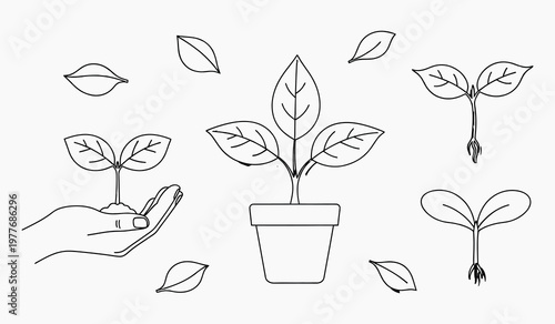 Line art illustration of growing plants seedlings and a hand holding a sprout