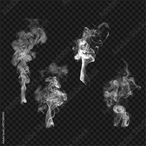 Realistic white smoke plumes, ethereal steam clouds, 4 transparent vapor vector elements for design