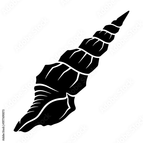 Black and white vector drawing of a auger shell sea shell spiral shell ocean shell beach shell art