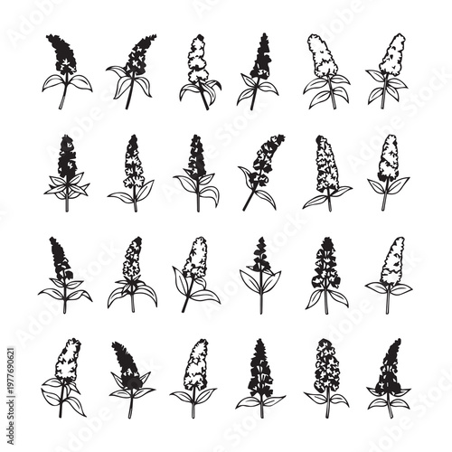 Botanical Elements Collection With Delicate Flower Sprigs And Leaf Illustrations