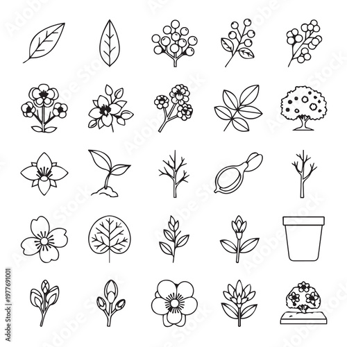 Botanical Icons Collection representing plants seeds leaves and flowers for design concepts