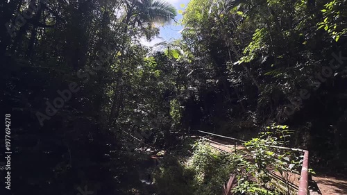 tropical rainforest walking path with metal railing beside shaded jungle stream and dense green canopy