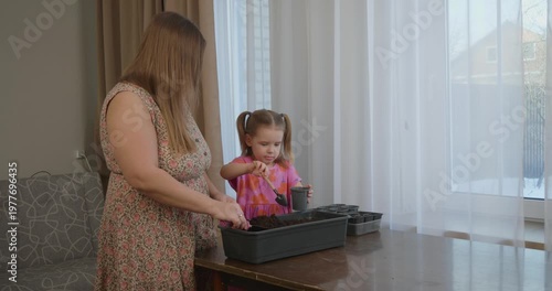 Cute little girl with pigtails carefully helping her mother fill small pots with potting soil, preparing to sow seeds together for spring planting in their cozy home by the window.