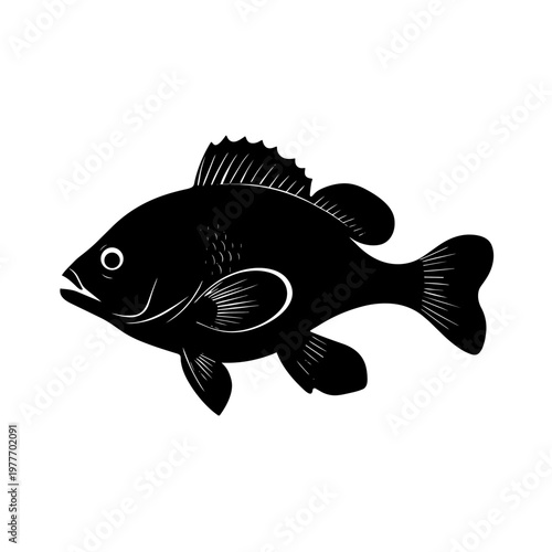 Vector image of a fish swimming in water in a simple black design