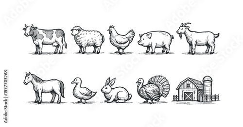 Collection of farm animals and barn in a charming hand-drawn sketch style