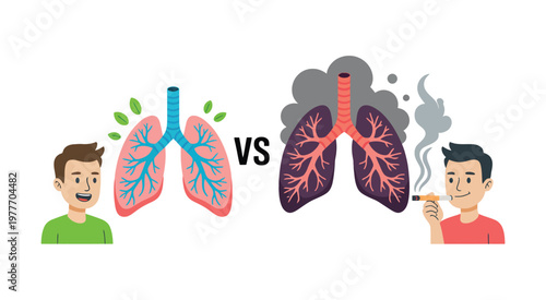 Healthy lungs vs damaged lungs from smoking, side-by-side medical concept showing normal lungs versus affected smoker lungs with contrast for education, healthcare awareness, and prevention