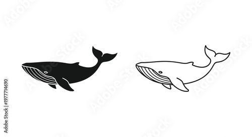 Whale icons, black and white vector illustrations, marine animal symbols, line art