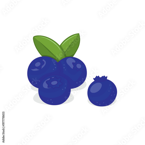 Blueberries with Green Leaves Illustration