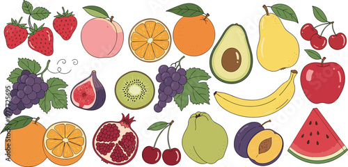 Hand drawn colorful fruit collection set featuring strawberry peach orange pear avocado apple fig kiwi grape pomegranate banana guava cherry plum and watermelon slice.