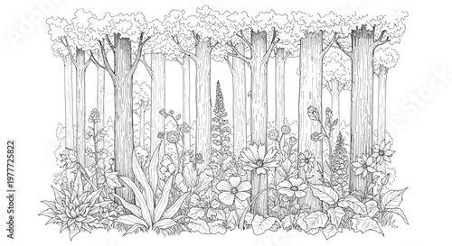 Enchanting Forest Floor with Lush Wildflowers and Majestic Trees - Black and White Sketch