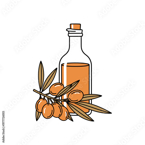 Transparent olive oil bottle with olives, natural food illustration