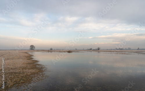 Calm flooded landscape with pastel sky in the Słudwia and Przysowa river valley, Poland
