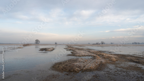 Leading lines in flooded meadow landscape in the Słudwia and Przysowa river valley, Poland