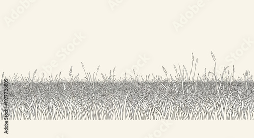 Hand-drawn sketch of tall grass and wild plants against a plain background