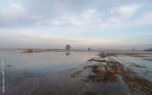 Calm flooded meadow with soft reflections in the Słudwia and Przysowa river valley, Poland