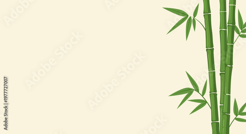 Green bamboo stalks with leaves on a light beige background, minimalist design