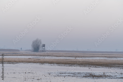 Hunting tower on flooded meadow in the Słudwia and Przysowa river valley, Poland