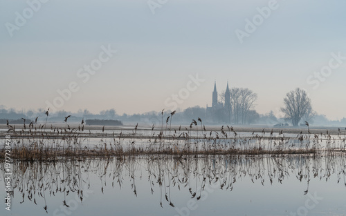 Reed reflections on flooded meadow with church silhouette in mist