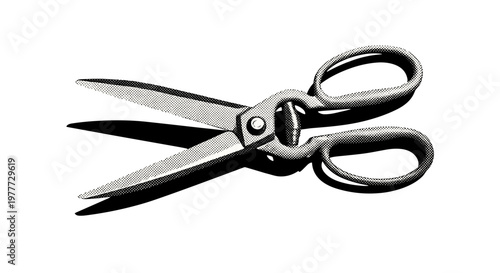 Vintage metal scissors with sharp blades and rounded handles