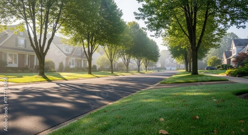A quiet suburban street lined with trees and houses. Morning fog creates a serene atmosphere. Green grass and shadows enhance the peaceful scene.