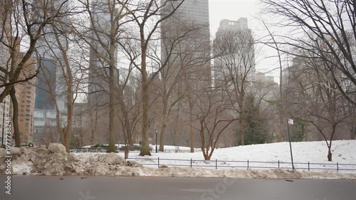 Winter park with bare trees and skyline in soft light New York USA