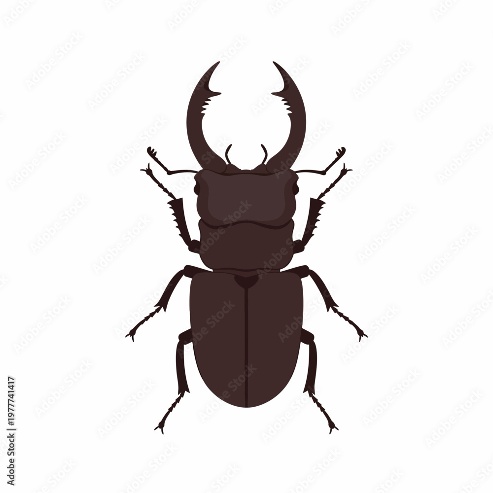 Fototapeta premium Minimalist dark brown stag beetle icon vector illustration, depicting a robust insect with large, distinctive mandibles, perfect for nature and wildlife-themed graphic designs