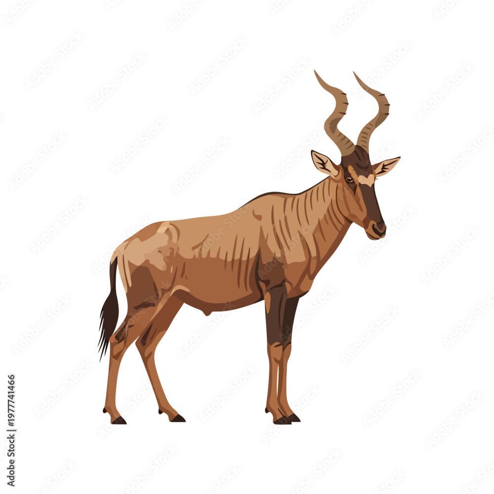 Obraz premium Standing Hartebeest Antelope, An Iconic African Savannah Dweller with Majestic Horns