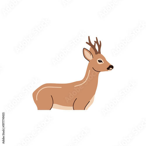 A clean and modern vector illustration of a graceful roe deer, showcasing its brown fur and distinct small antlers. Perfect charming wild animal artwork for nature designs
