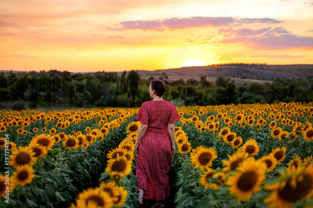Fototapeta premium The girl among the sunflowers