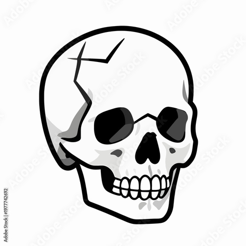 A single human skull flat vector illustration, minimalist anatomical head bone with cracked cranium and dark eye sockets, gothic horror concept, isolated on white, bold black and grey tones.